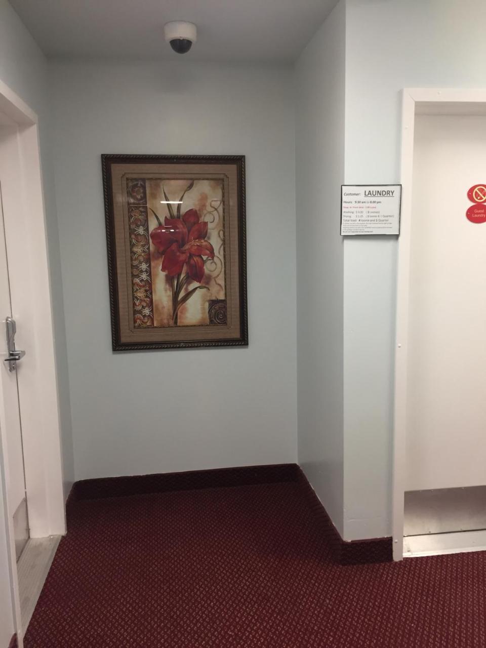 Econo Lodge Inn & Suites Innisfail Esterno foto
